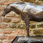 Ruïne van Brederode 15